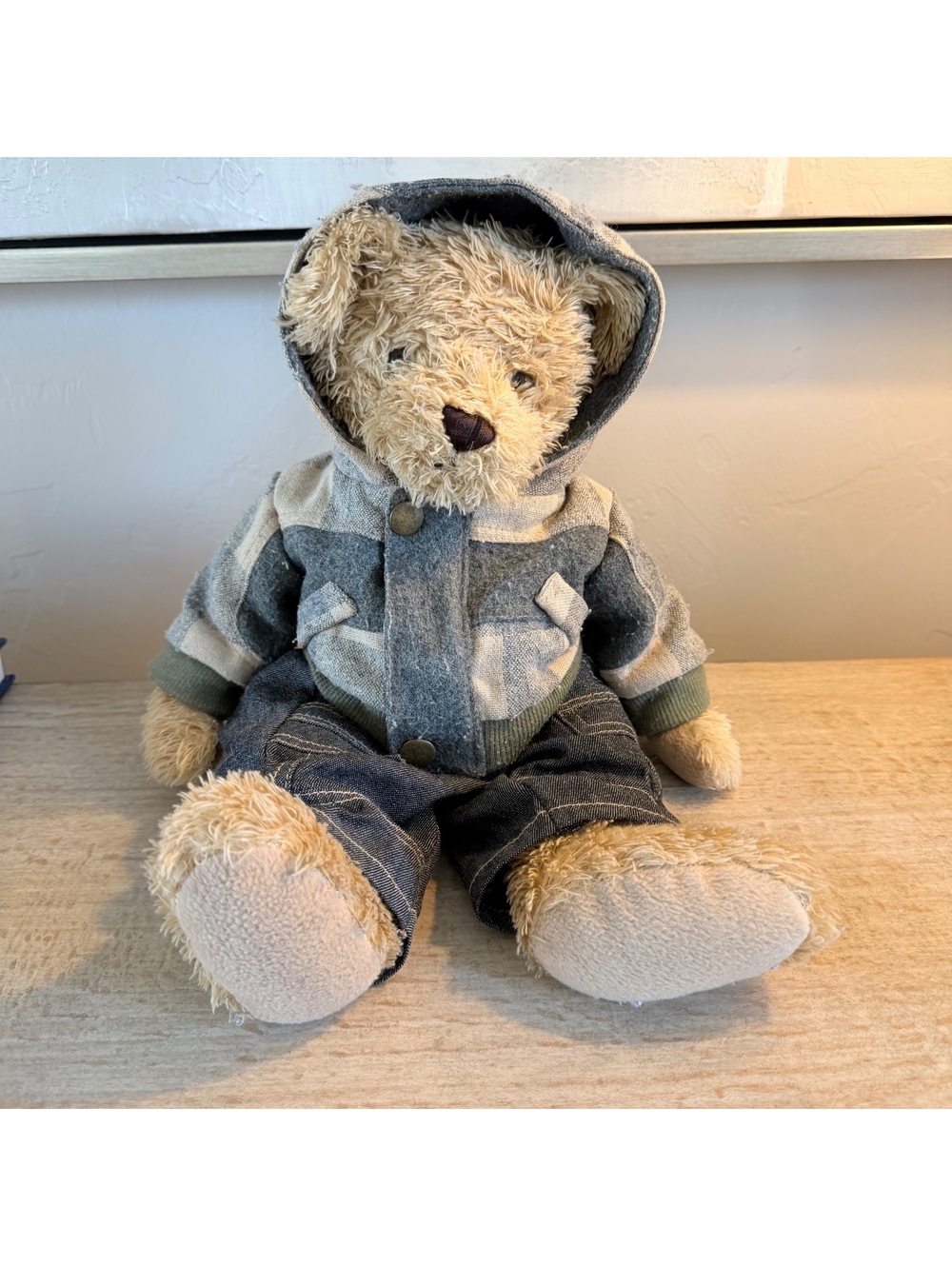 RICH Teddy Bear 16” Plush Dressed Bear Jeans Hooded Jacket Stuffed Animal